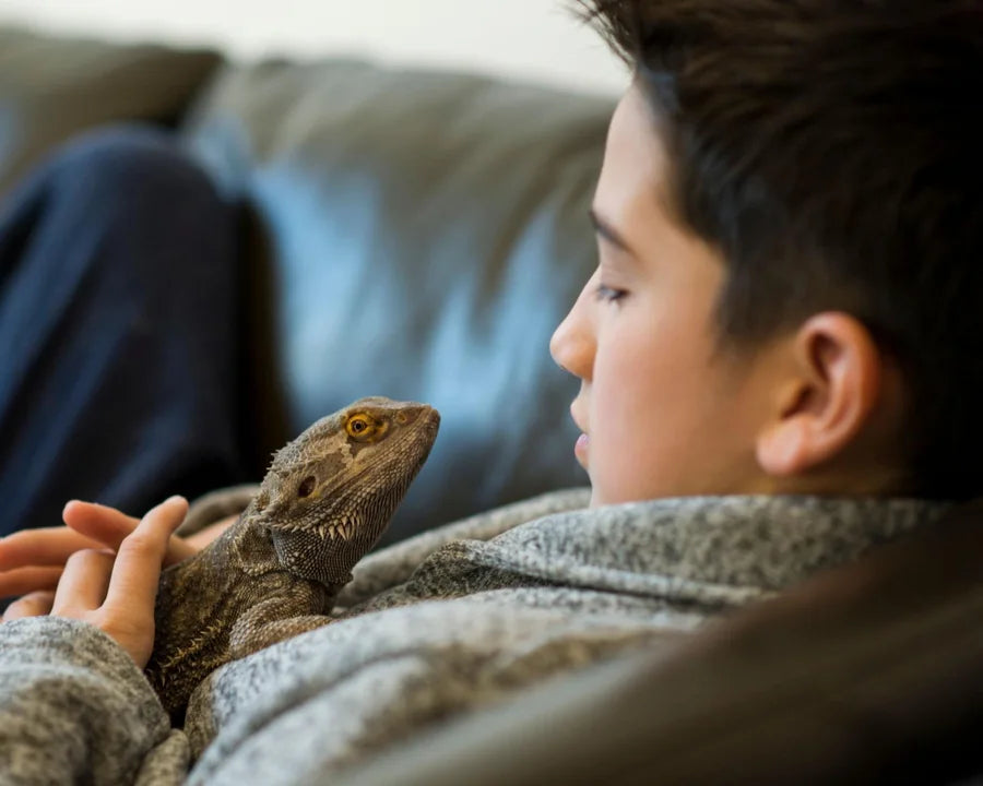 Photo d’un garçon avec son lézard avant transformation