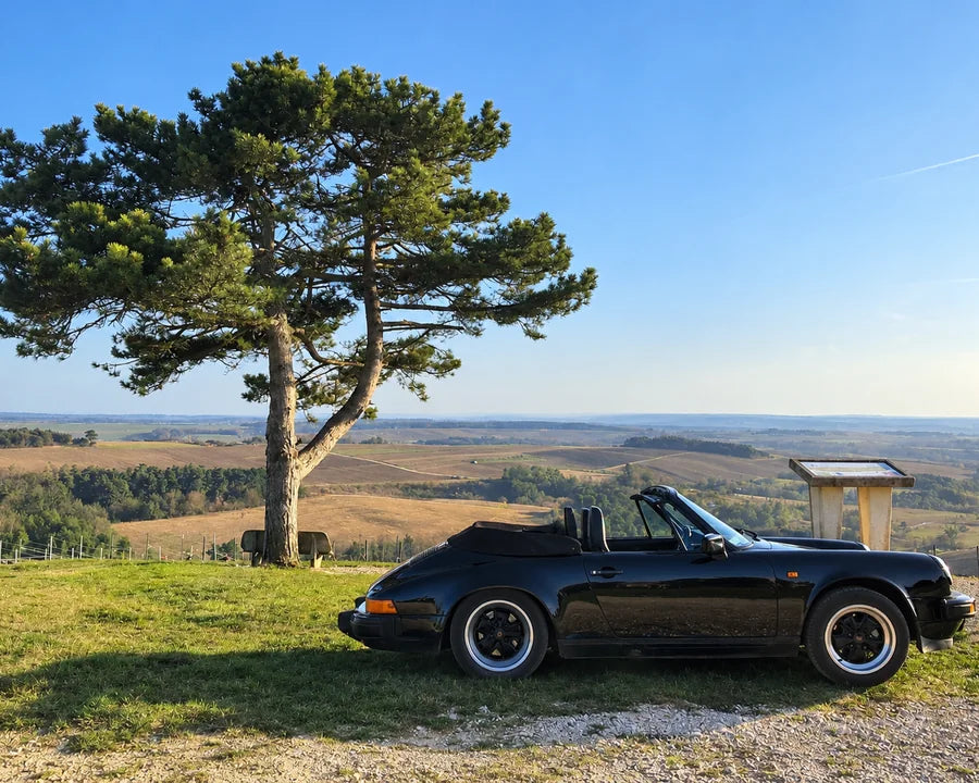 Photo originale d’une voiture ancienne sous un pin